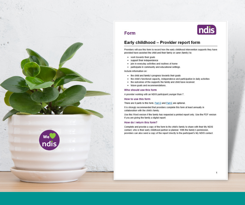 ECEI Provider Report Form