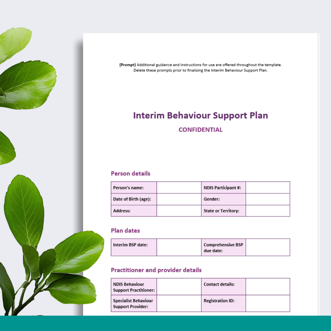 Interim Behaviour Support Plan Template