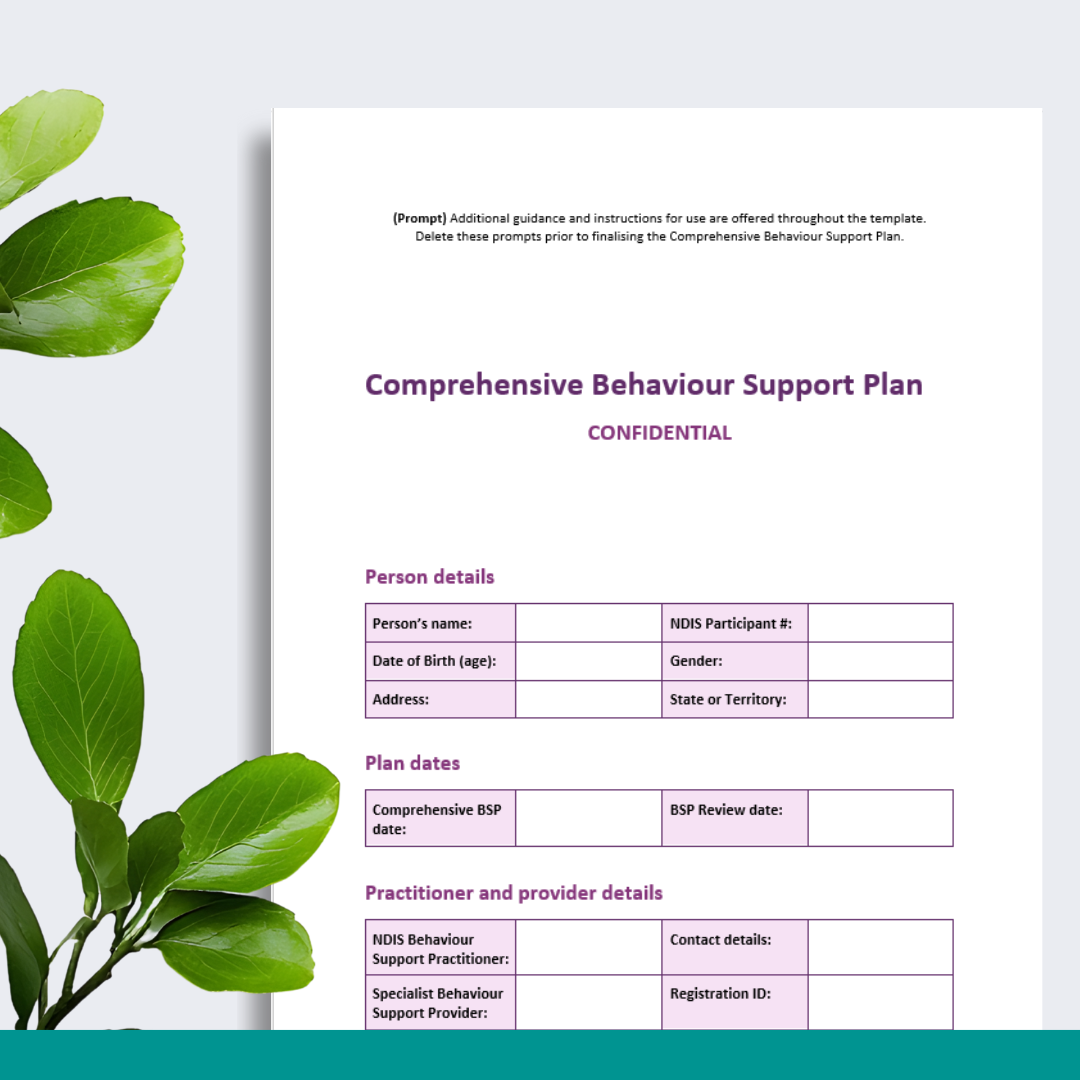 Comprehensive Behaviour Support Plan