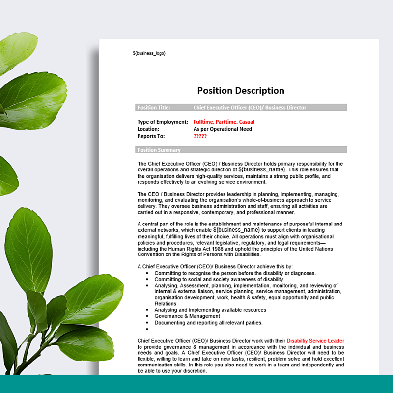 Position Description - CEO/Director