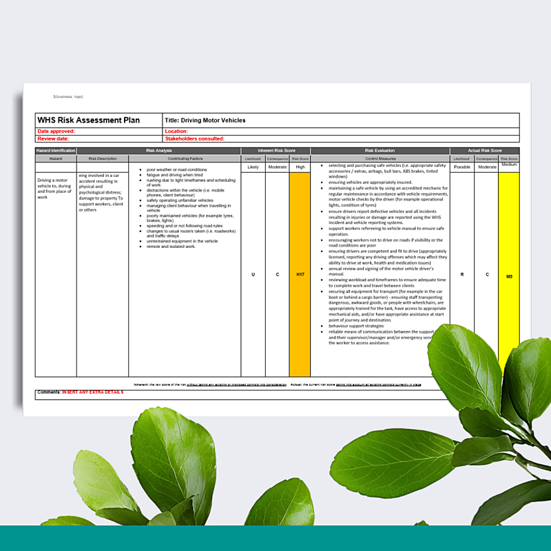 WHS Risk Assessment Plan - Driving Motor Vehicles