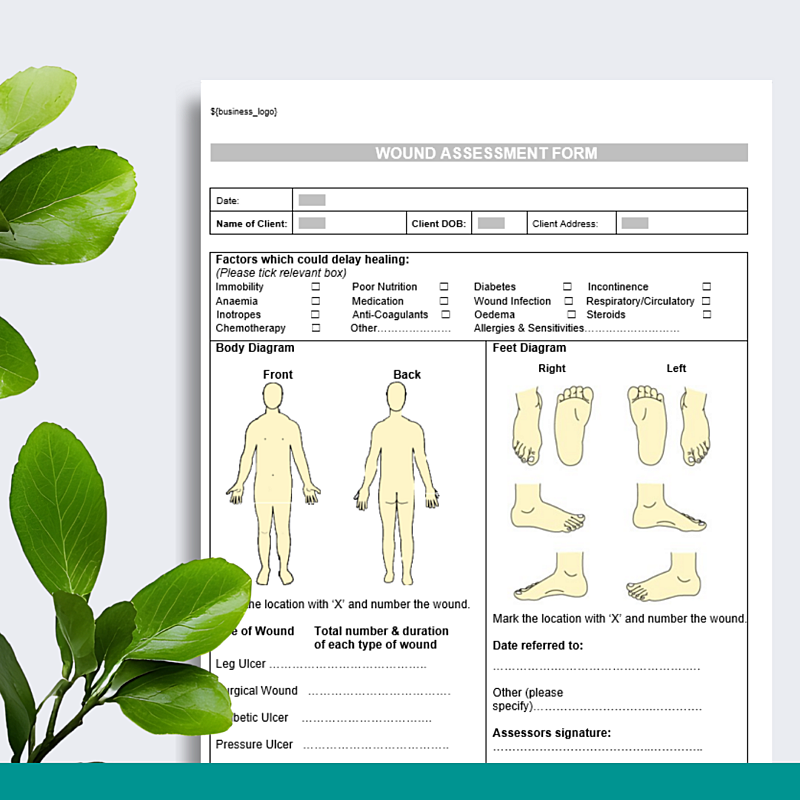 Wound Chart & Treatment Plan