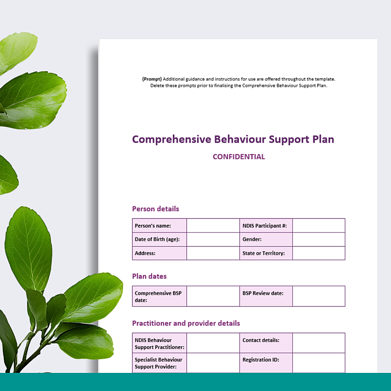 Comprehensive Behaviour Support Plan