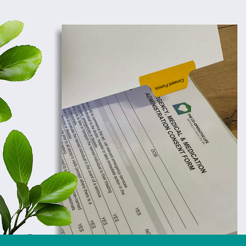MediFolder Pro - Complete Medication Management Folder System