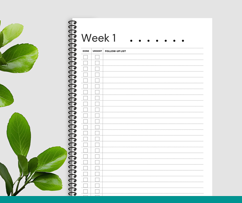 NDIS Compliance & Daily Planner - Jan to Dec 2027 - Dots