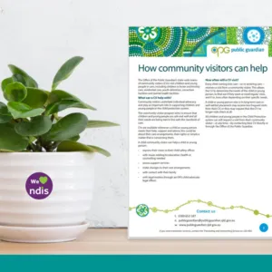 Community Visitor - About Us