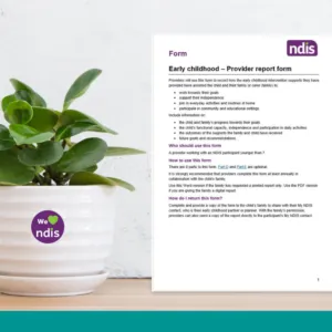 ECEI Provider Report Form