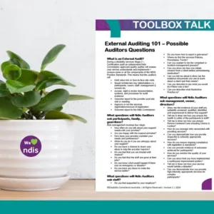 External Auditing - Process & Possible Auditors Questions Toolbox Talk